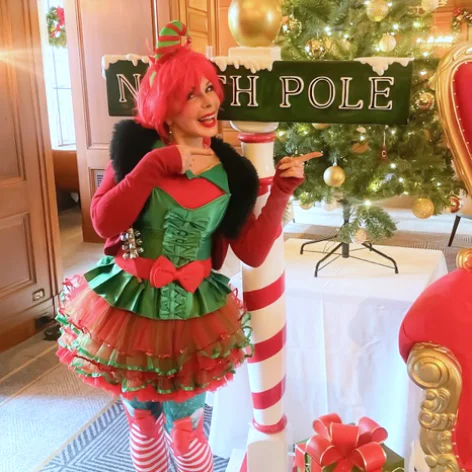 Character & Themed Performer